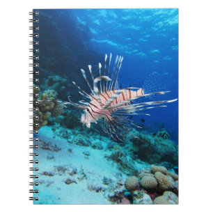Lionfish or Pterois Miles, Ocean Reef Fish Notebook