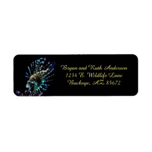 Lionfish swims