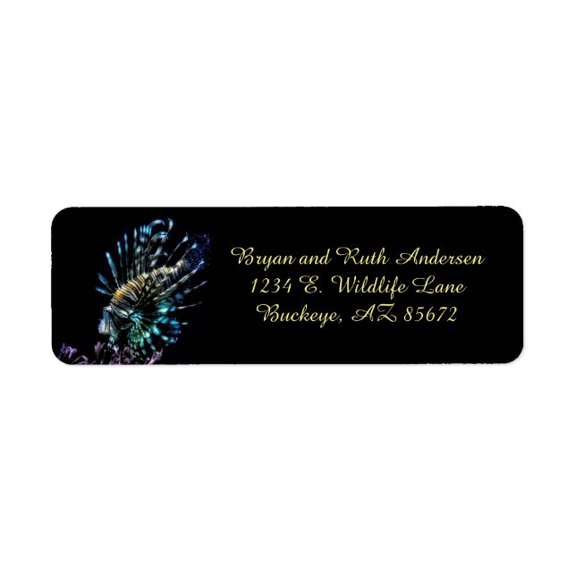 Lionfish swims (Front)