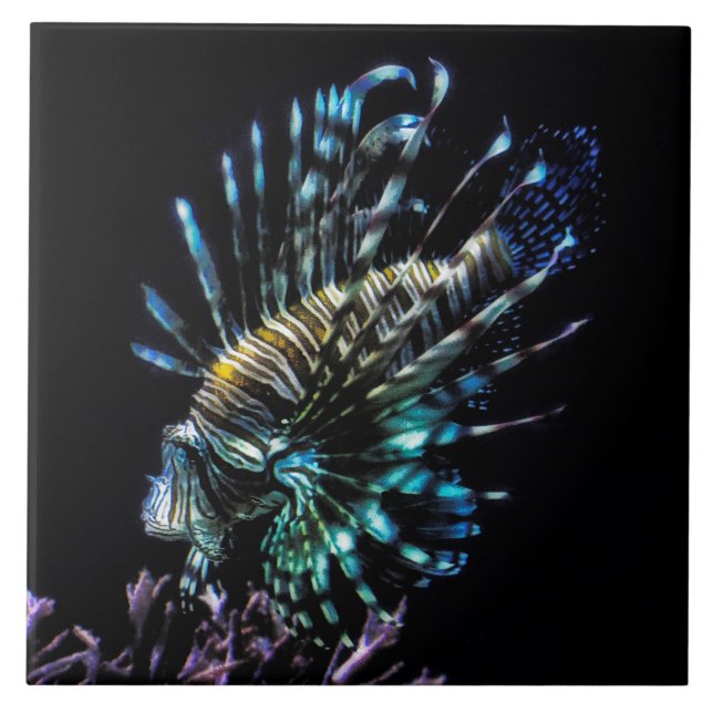lionfish swims trinket tray tile (Front)