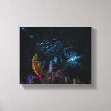 Lionfish, the lady of the soft coral garden