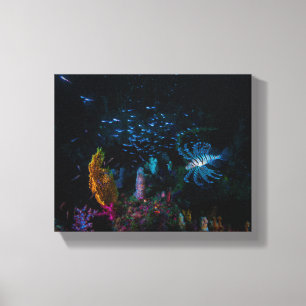 Lionfish, the lady of the soft coral garden canvas print