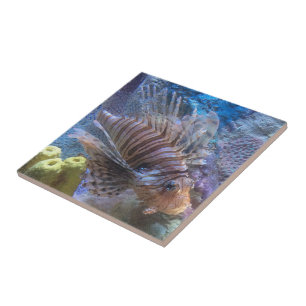 Lionfish Tile