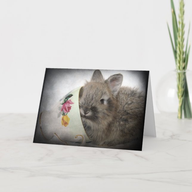 Lionhead Bunny and Teacup All Occasions  Card (Front)