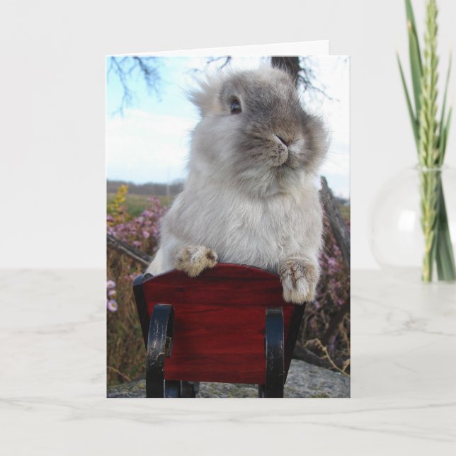 Lionhead Bunny in Sleigh, Happy Holidays Holiday Card (Front)