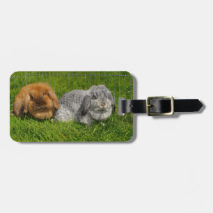 Lionhead Holland Mini Lop Bunny Rabbit Luggage Tag