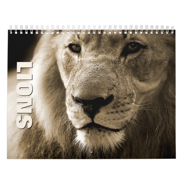 Lions [1] Wall Calendar (Cover)
