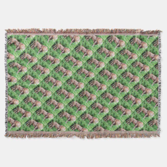 Lions animal design throw blanket (Front)