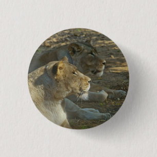 Lions Button