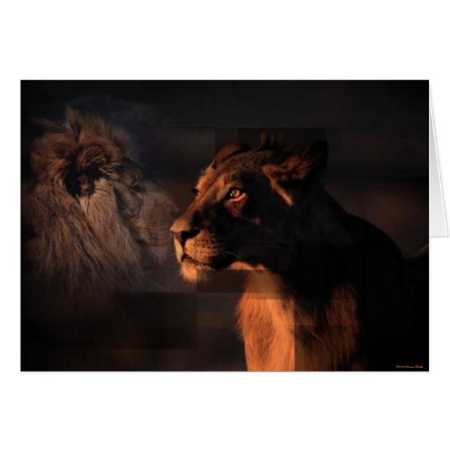 Lions Card (Front Horizontal)