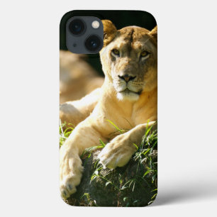 Lions iPhone 13 Case