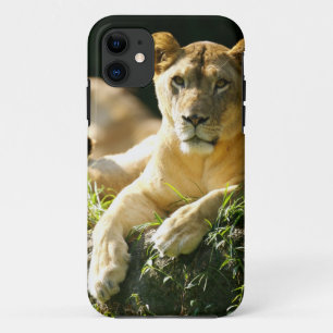 Lions Case-Mate iPhone Case