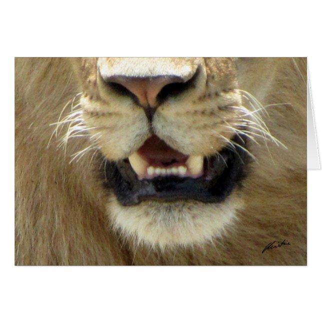 (Lions Clubs) Lion's Nose & Mouth (Masai Mara) (Front Horizontal)
