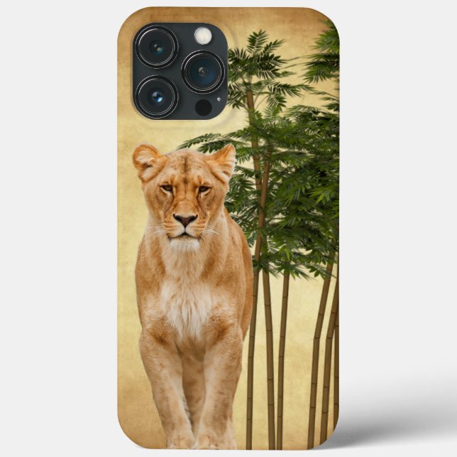 Lions Den iPhone / iPad case (Back)