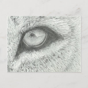 Lion's Eye   Customisable Postcard