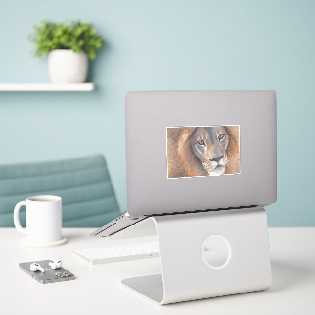 Lion's Eyes (Laptop On Desk)