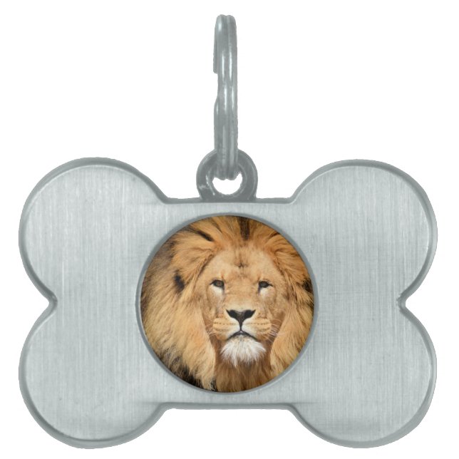 Lions Head Pet Tag (Front)