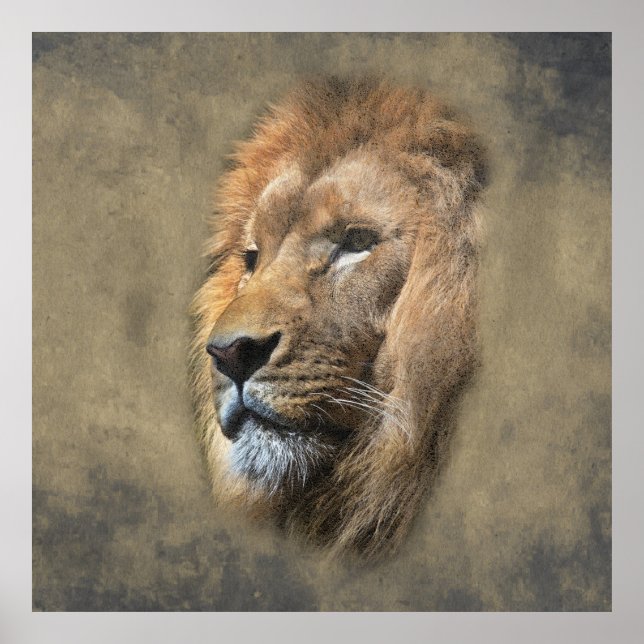 Lions Head Poster (Front)