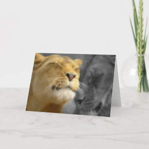 Lions in Love Card