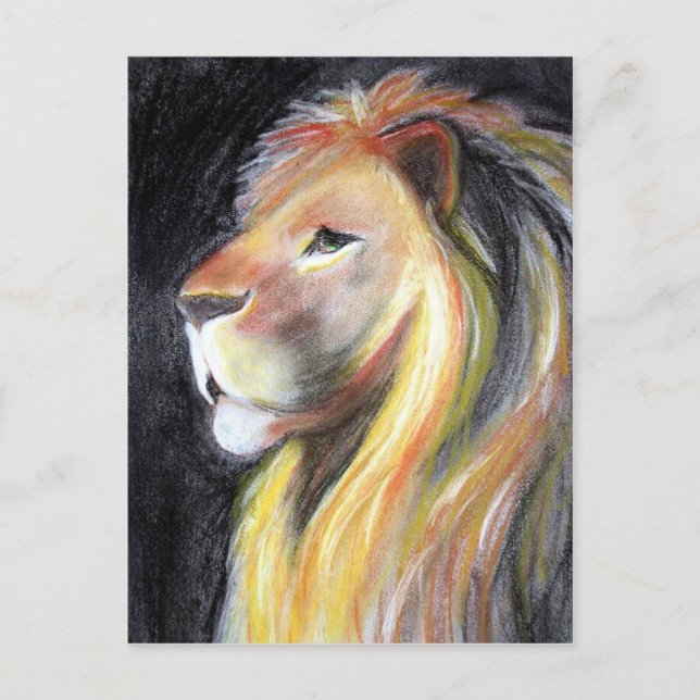 Lions Lion Profile Leo Portrait Charcoal Drawing Postcard (Front)