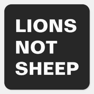Lions Not Sheep Square Sticker