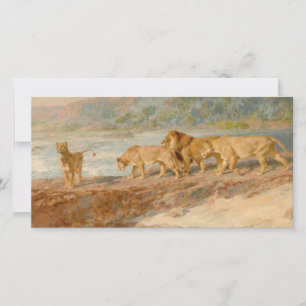 Lions on the Bank of an African River Card