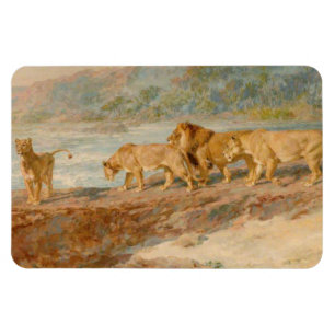 Lions on the Bank of an African River Magnet