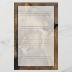 Lions (Panthera leo) pair bonding, Skeleton Stationery