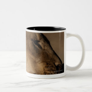 Lions (Panthera leo) pair bonding, Skeleton Two-Tone Coffee Mug