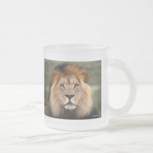 Lions Photograph Frosted Glass Coffee Mug
