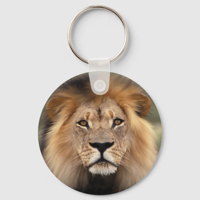 Lions Photograph Key Ring (Front)