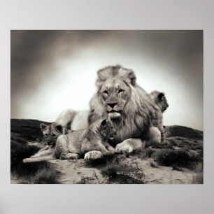 Lions Poster