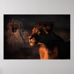 Lions Print