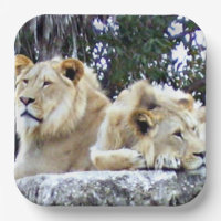 Lions Resting Together on Sunlit Rock