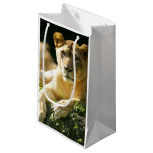 Lions Small Gift Bag