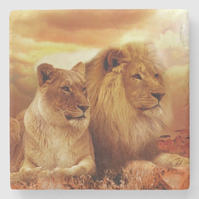 Lions Stone Coaster (Front)