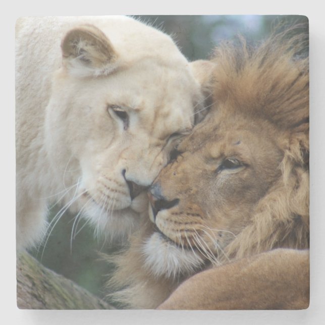 Lions Stone Coaster (Front)