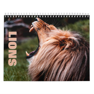 Lions Wall Calendar