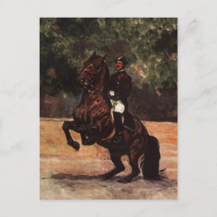 Lipizzan Stallion Dressage Postcard