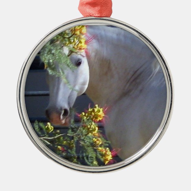 Lipizzan Stallion Ornament (Front)