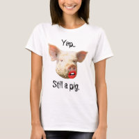 Lipstick on a Pig