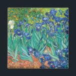 Lirios de Van Gogh Magnet<br><div class="desc">Estos imanes son ventanas de colour para tu refrigerador. Son de 2" de largo x 2" de ancho, están impresos sobre papel 100% reciclado, cubierto con Mylar resistente a los rasguños y a los rayos UV. En general, a Van Gogh se le conoce por sus girasoles y sus amarillos. Aquí...</div>