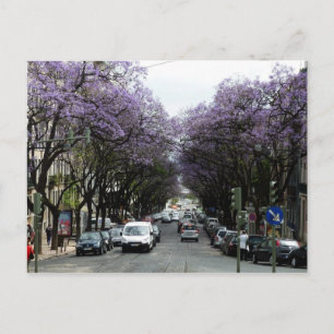 Lisbon Purple Flowers Postcard