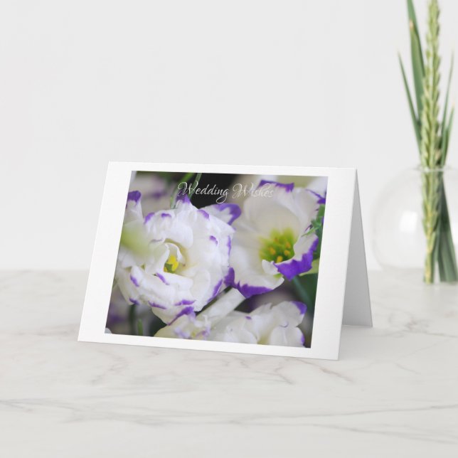 Lisianthus Flowers Greeting Card (Front)