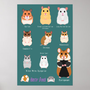 List of hamsters poster