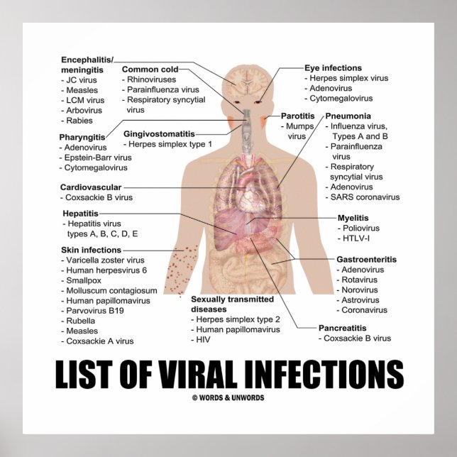 List Of Viral Infections (Anatomical Health) Poster (Front)