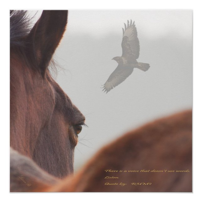 Listen Poster (Front)