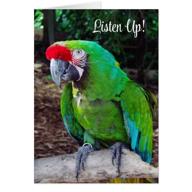 Listen Up Greeting Card (Front)