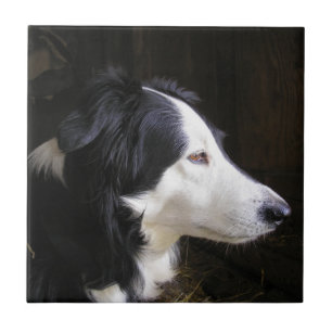Listening Tile