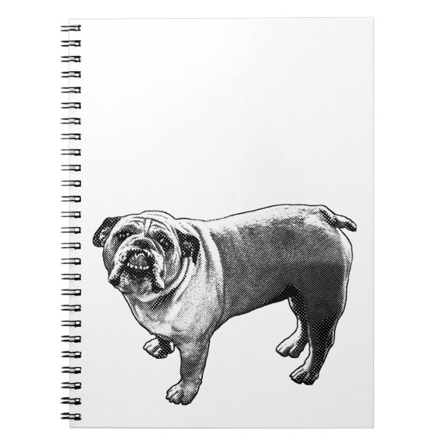 Lists Beside a Buddy Notebook (Front)